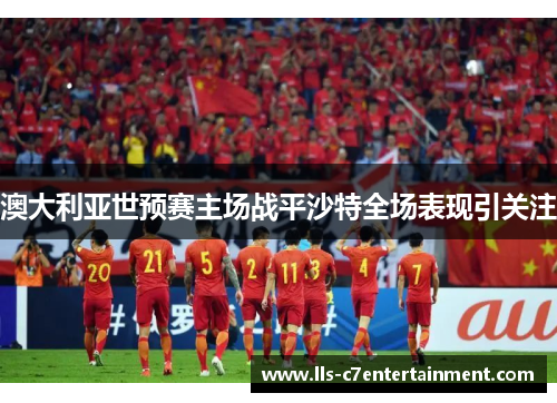 澳大利亚世预赛主场战平沙特全场表现引关注